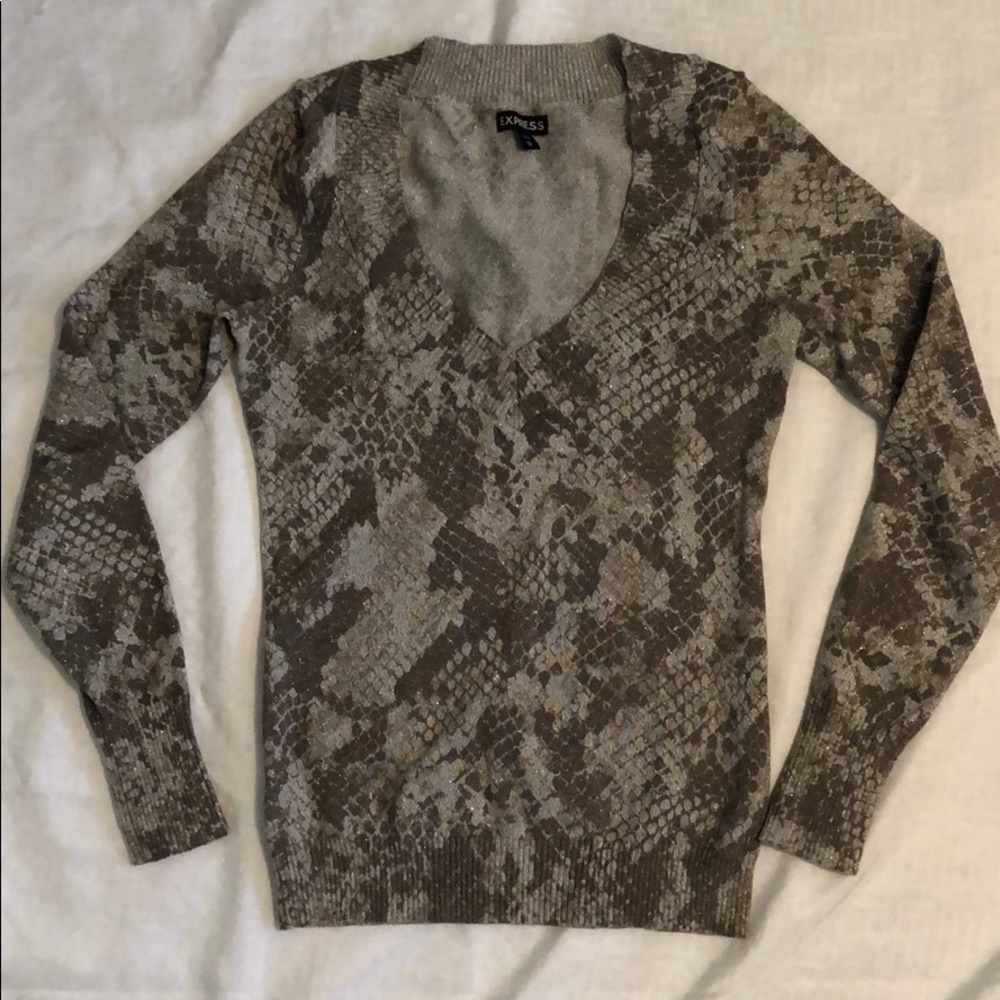 Express Snakeprint Sweater